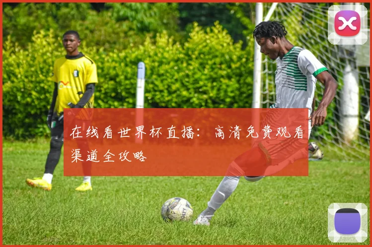 在线看世界杯直播：高清免费观看渠道全攻略