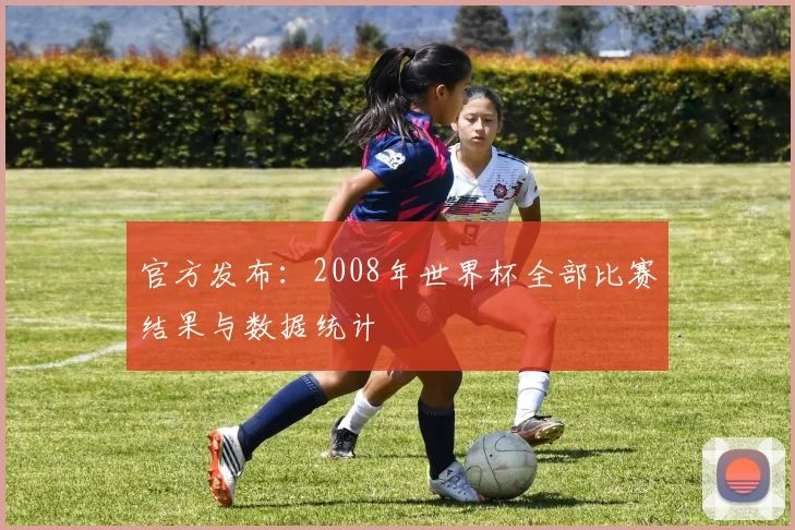 官方发布：2008年世界杯全部比赛结果与数据统计