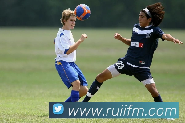 App Interface Preview