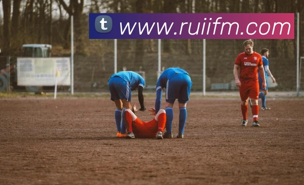 开云手机在线官网登录APP 封面图